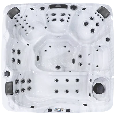 Avalon EC-867L hot tubs for sale in West Valley